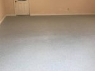 Graniflex | Rubberized Urethane Flooring | The Concrete Protector