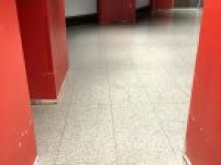 Graniflex | Rubberized Urethane Flooring | The Concrete Protector