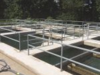 Graniflex | Rubberized Urethane Flooring | The Concrete Protector